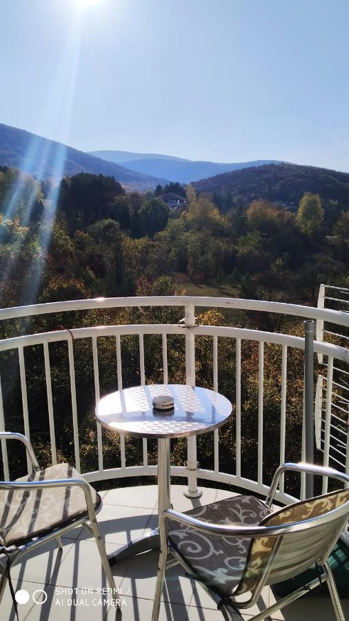 Sky Apartman Sokobanja Exterior foto