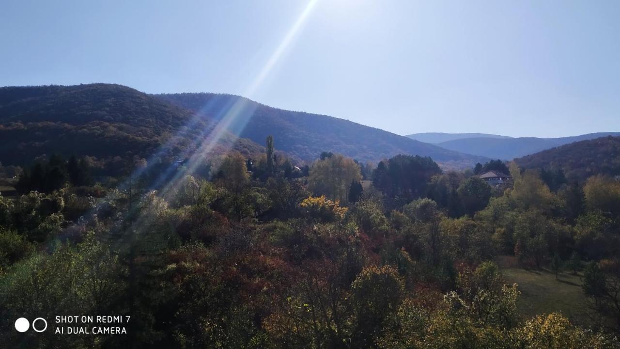 Sky Apartman Sokobanja Exterior foto