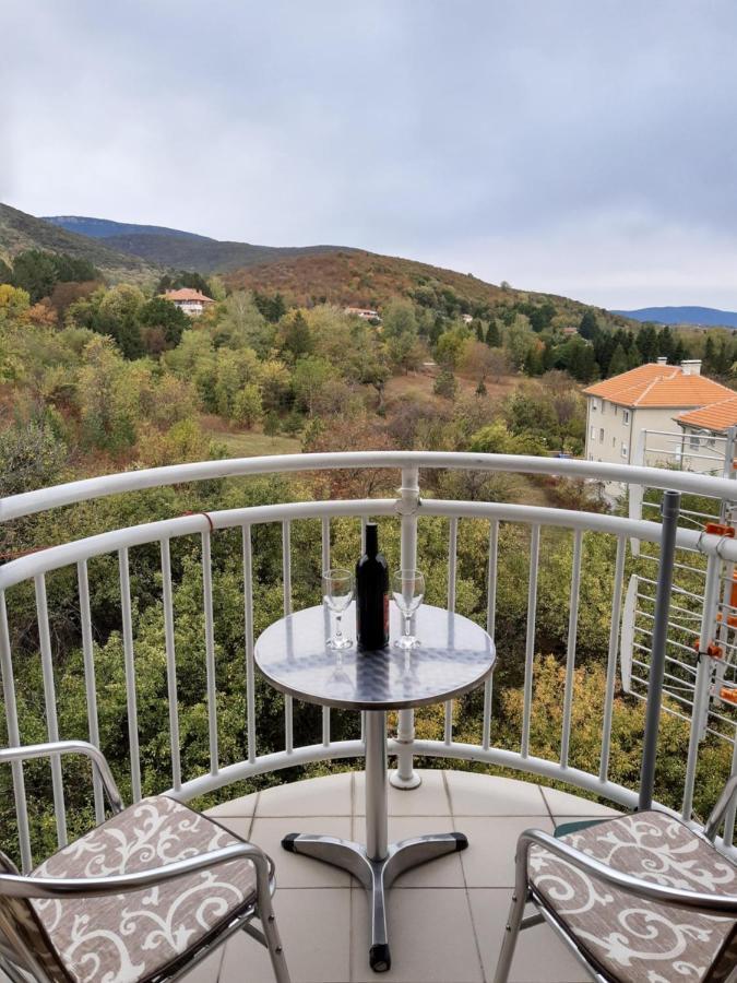 Sky Apartman Sokobanja Exterior foto