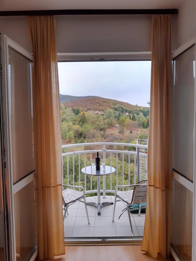 Sky Apartman Sokobanja Exterior foto