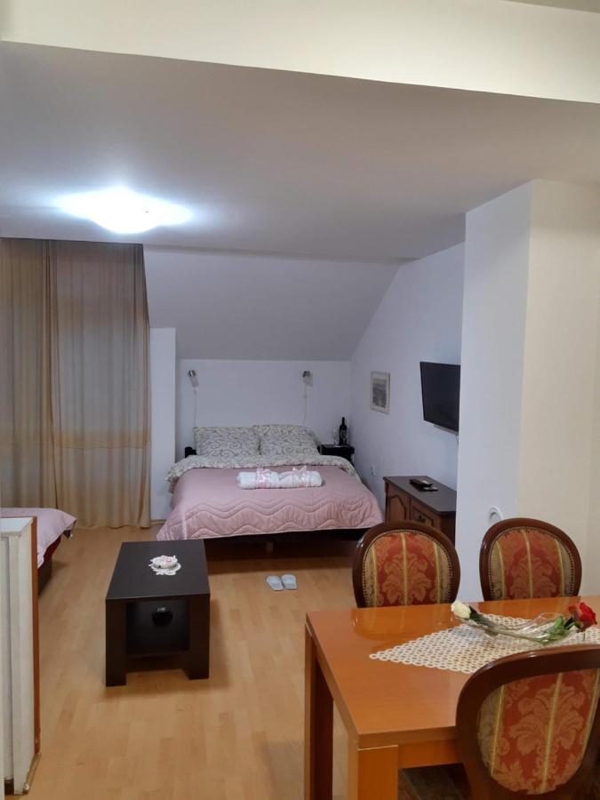 Sky Apartman Sokobanja Exterior foto