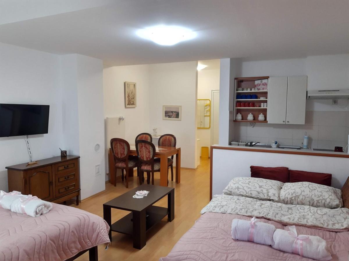 Sky Apartman Sokobanja Exterior foto