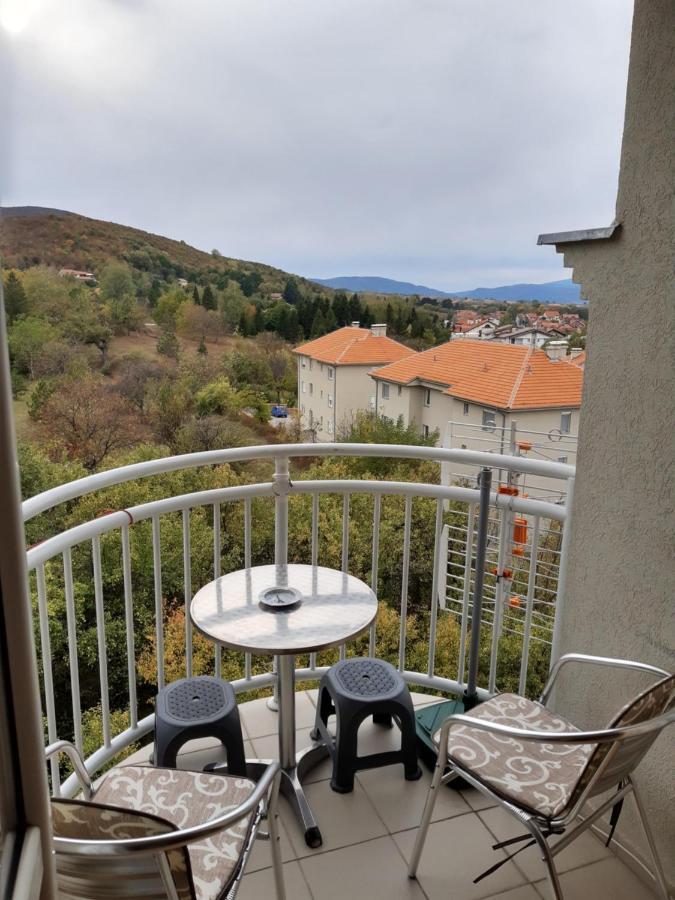 Sky Apartman Sokobanja Exterior foto